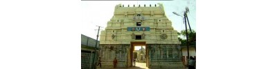 28. திருக்காழிச்சீராம விண்ணகரம்